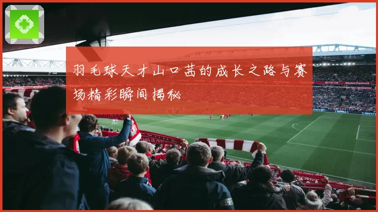 羽毛球天才山口茜的成长之路与赛场精彩瞬间揭秘