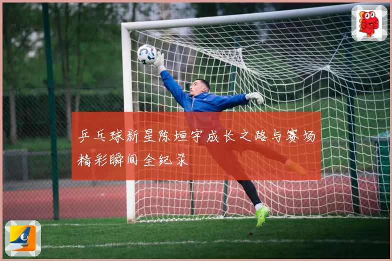 乒乓球新星陈垣宇成长之路与赛场精彩瞬间全纪录