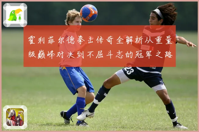 霍利菲尔德拳击传奇全解析从重量级巅峰对决到不屈斗志的冠军之路