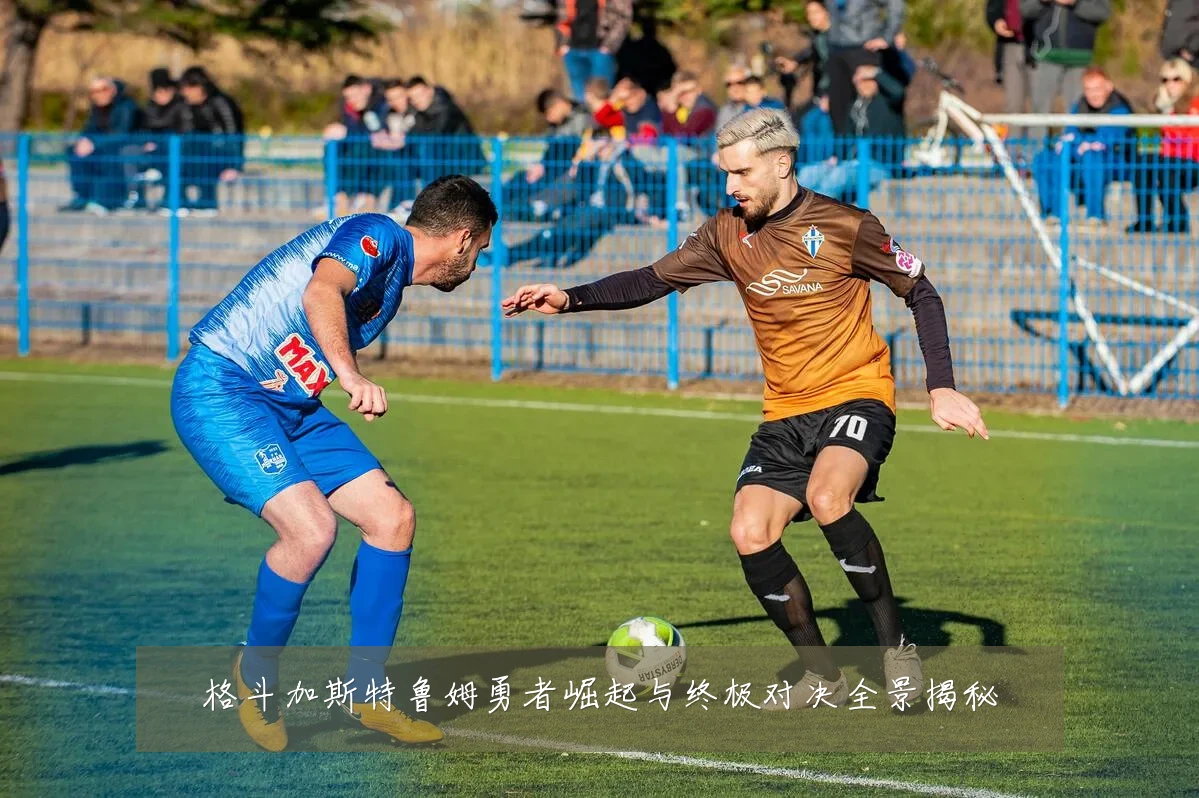 格斗加斯特鲁姆勇者崛起与终极对决全景揭秘
