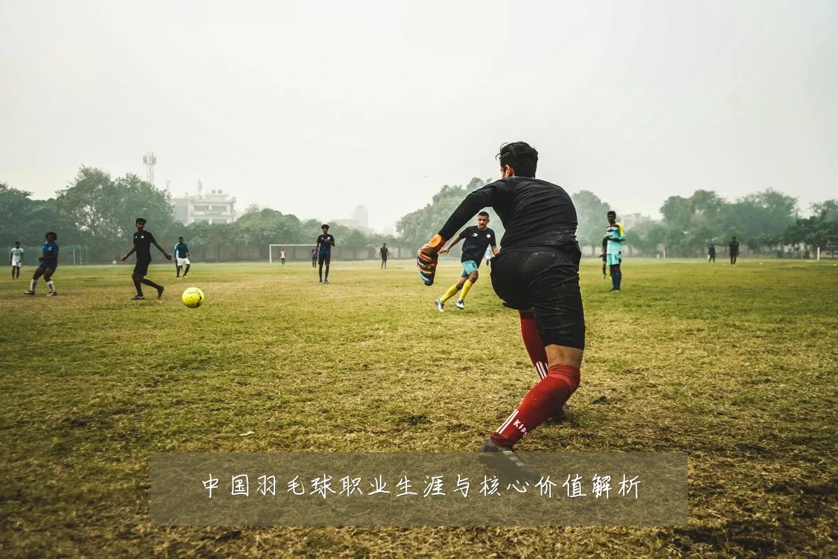 中国羽毛球职业生涯与核心价值解析